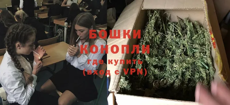 кракен вход  Нолинск  Конопля SATIVA & INDICA 